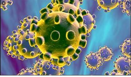 Coronavirus (COVID-19)