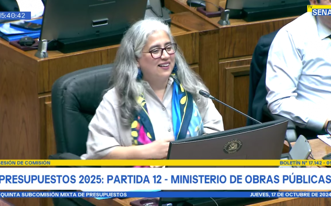 Destacada Exposición de Directora DCyF en Congreso por Presupuesto 2025